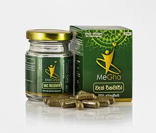 MeGha One Palace - Official Page